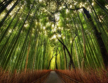 Trey Ratcliff via Compfight
